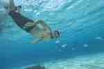 Man Snorkeling fotolia Bilder kostenlos KW 24